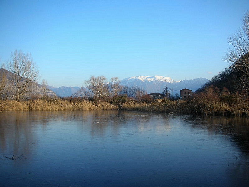 Torbiera